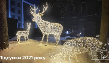 Forest Park проводжає 2021-й рік та бажає щасливих новорічних свят!